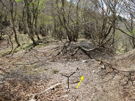 20140502hike (206)